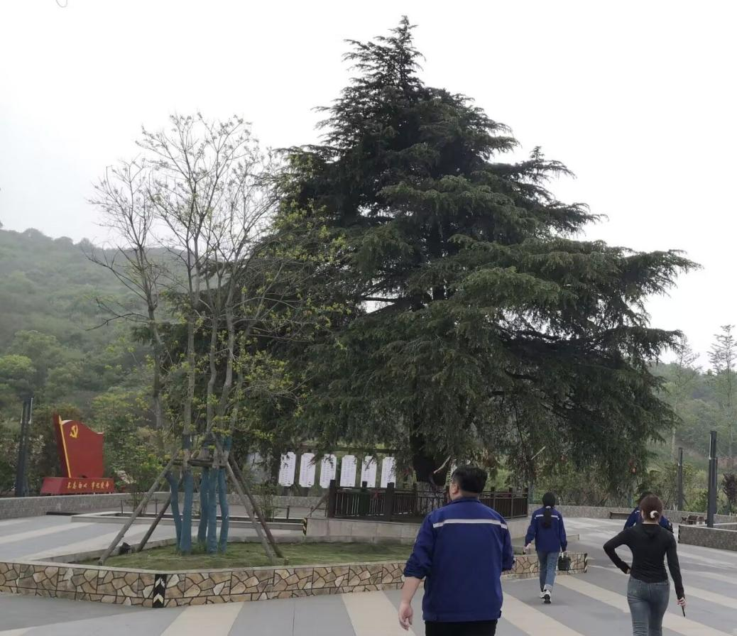 <strong>暑期“三下乡”社会实践（三十二）：感悟党的历程，学习党的精神</strong>